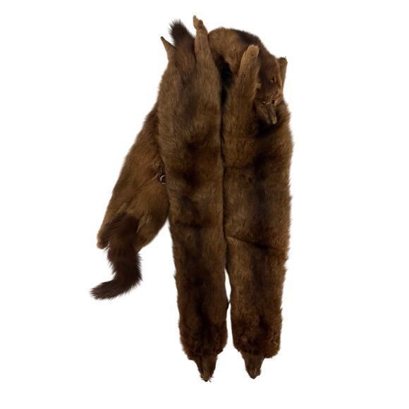 Wild Mink Pelts - Head, Legs, Tail Intact - Set of 3 - Picture 3 of 6